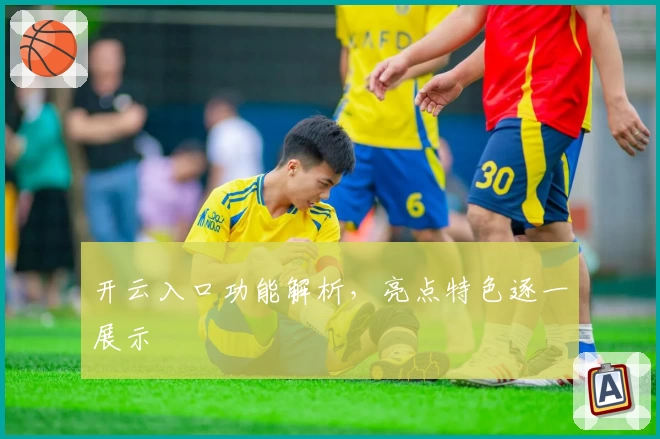 开云入口功能解析，亮点特色逐一展示