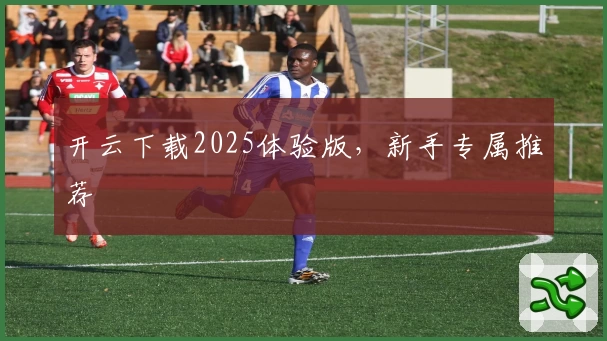 开云下载2025体验版,新手专属推荐